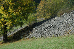 Steinriegel im Hergstbachtal - f&uuml;r weitere Bilder klicken